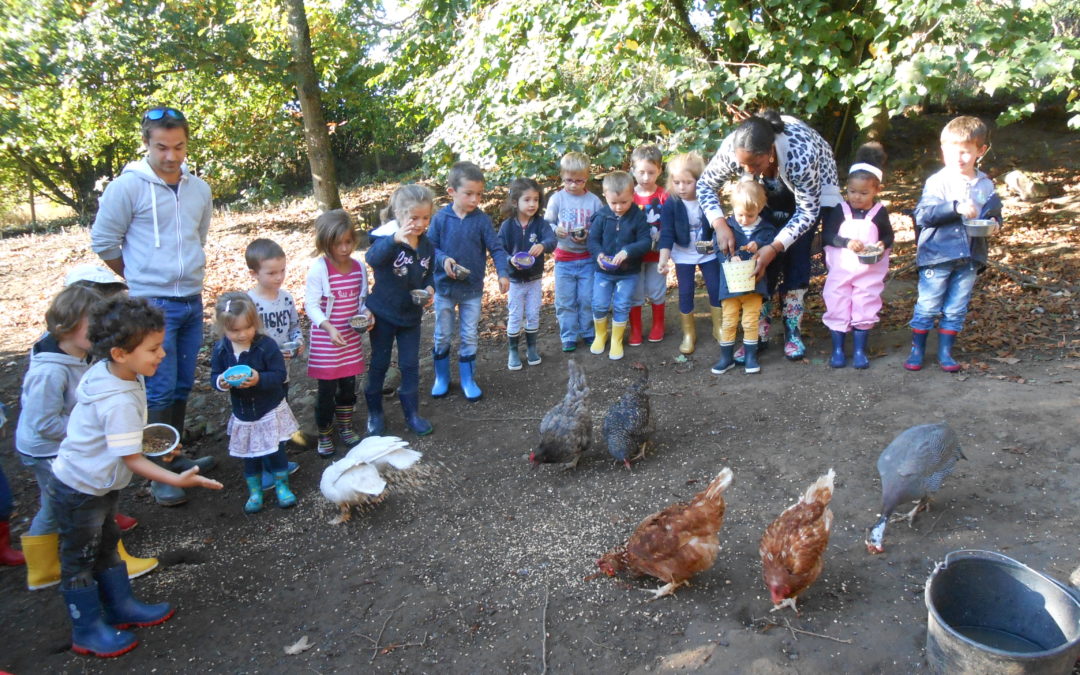 Visite à la ferme pour les maternelles